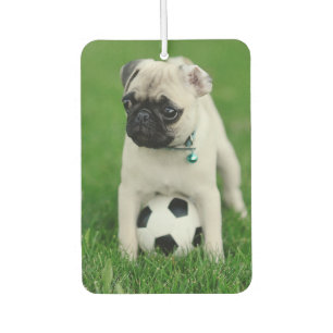 Create Your Own Pet Photo Custom Picture Car Air Freshener