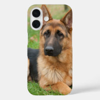 Create Your Own Pet Photo Custom Picture