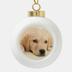 Create Your Own Pet Photo Custom Picture Ceramic Ball Christmas Ornament