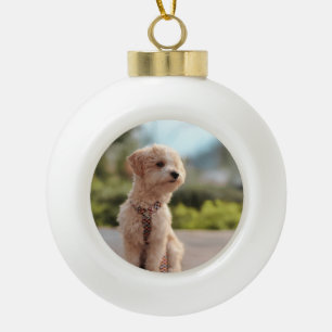 Create Your Own Pet Photo Custom Picture Ceramic Ball Christmas Ornament