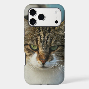 Create Your Own Pet Photo Custom Picture Gift