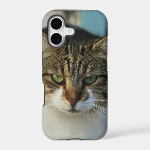 Create Your Own Pet Photo Custom Picture Gift