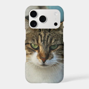 Create Your Own Pet Photo Custom Picture Gift