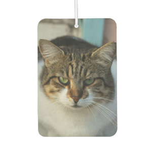 Create Your Own Pet Photo Custom Picture Gift Car Air Freshener