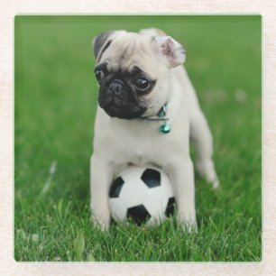 Create Your Own Pet Photo Custom Picture Glass Coaster