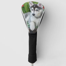 Create Your Own Pet Photo Custom Picture