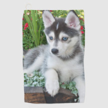 Create Your Own Pet Photo Custom Picture