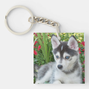 Create Your Own Pet Photo Custom Picture Key Ring