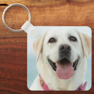 Create Your Own Pet Photo Custom Picture Key Ring
