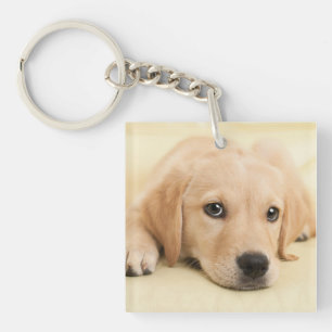 Create Your Own Pet Photo Custom Picture Key Ring
