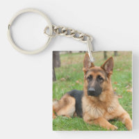 Create Your Own Pet Photo Custom Picture