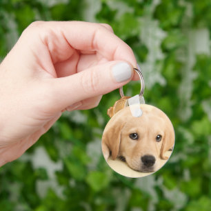 Create Your Own Pet Photo Custom Picture Key Ring