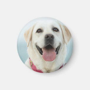 Create Your Own Pet Photo Custom Picture Magnet
