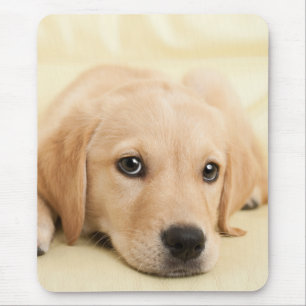 Create Your Own Pet Photo Custom Picture Mouse Pad
