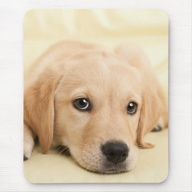 Create Your Own Pet Photo Custom Picture Mouse Pad (Front)