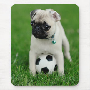 Create Your Own Pet Photo Custom Picture Mouse Pad