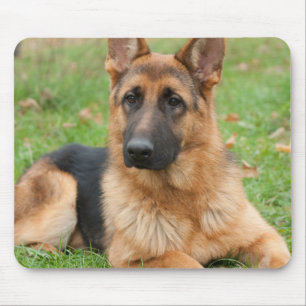 Create Your Own Pet Photo Custom Picture Mouse Pad