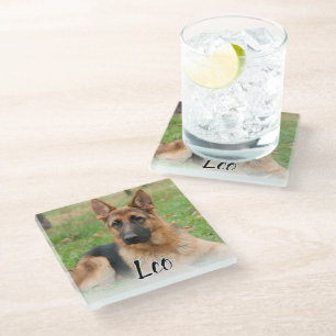 Create Your Own Pet Photo Custom Picture Name Glass Coaster