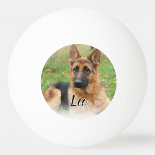 Create Your Own Pet Photo Custom Picture Name Ping Pong Ball