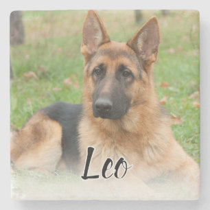 Create Your Own Pet Photo Custom Picture Name Stone Coaster