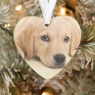 Create Your Own Pet Photo Custom Picture Ornament