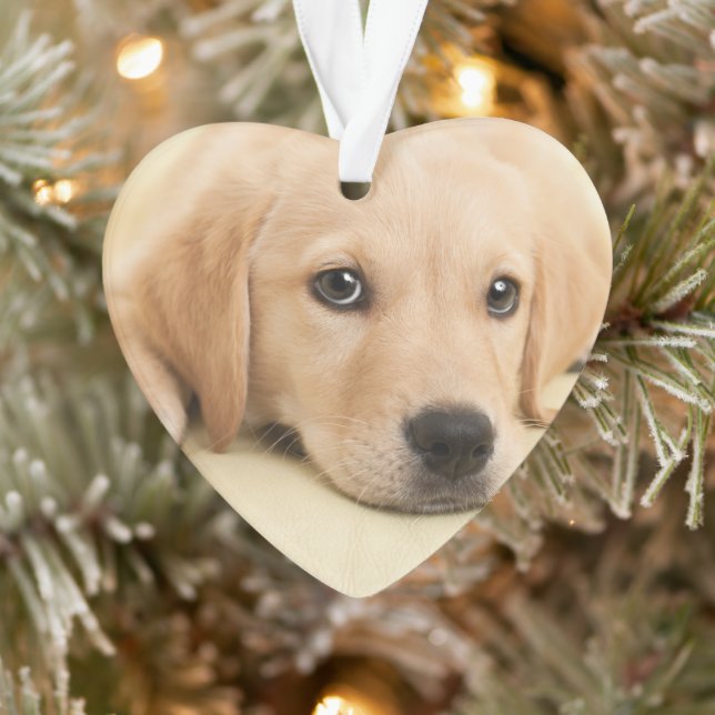 Create Your Own Pet Photo Custom Picture Ornament (Tree)
