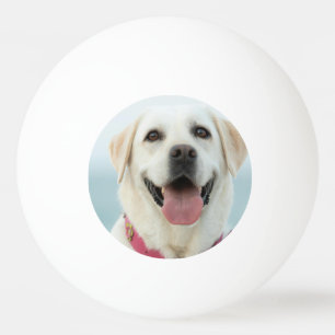 Create Your Own Pet Photo Custom Picture Ping Pong Ball