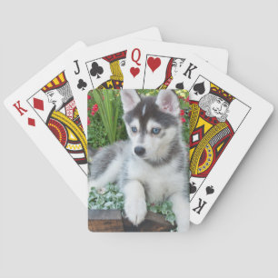 Create Your Own Pet Photo Custom Picture Playing Cards