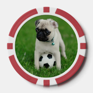 Create Your Own Pet Photo Custom Picture Poker Chips