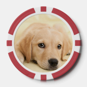 Create Your Own Pet Photo Custom Picture Poker Chips