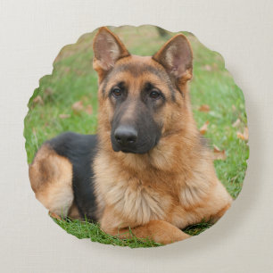Create Your Own Pet Photo Custom Picture Round Cushion