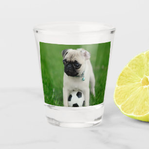 Create Your Own Pet Photo Custom Picture Shot Glass