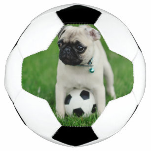 Create Your Own Pet Photo Custom Picture Soccer Ball
