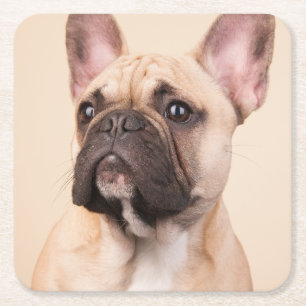 Create Your Own Pet Photo Custom Picture Square Paper Coaster