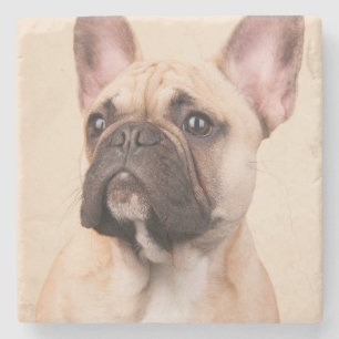 Create Your Own Pet Photo Custom Picture Stone Coaster