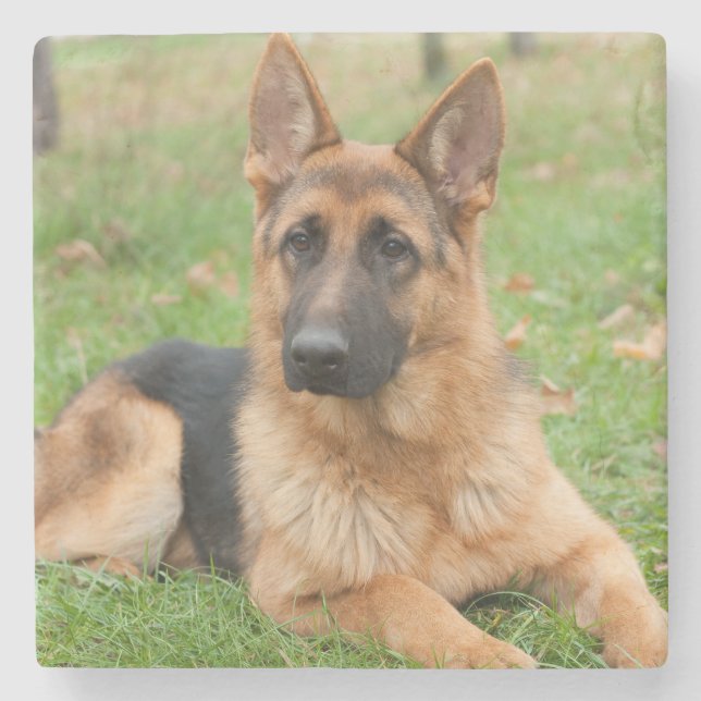 Create Your Own Pet Photo Custom Picture Stone Coaster (Front)