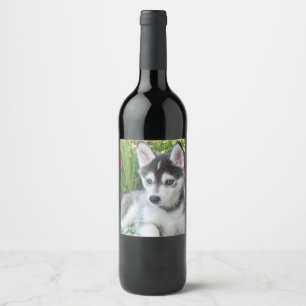 Create Your Own Pet Photo Custom Picture Wine Label