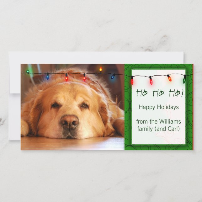 Create your own pet photo holiday card (Front)