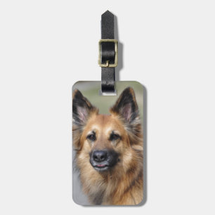Create your own pet photo luggage tag