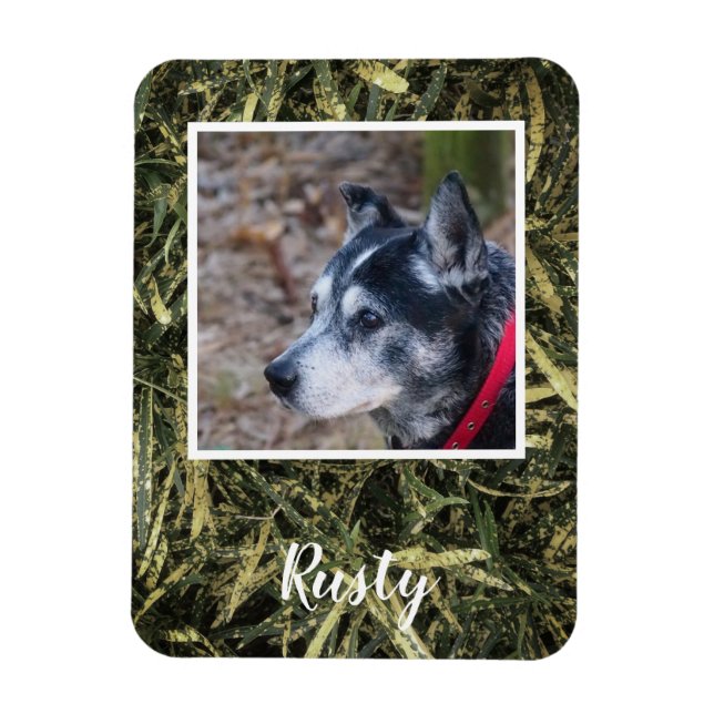 Create your own pet photo magnet (Vertical)