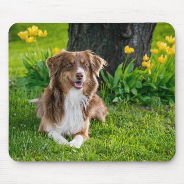 Create Your Own Pet Photo Mouse Pad (Front)