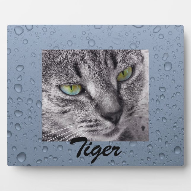 Create your own pet photo plaque (Front)