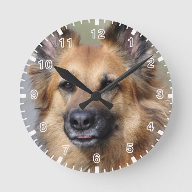 Create your own pet photo round clock (Front)