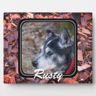 Create your own pet plaque