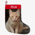 Create Your Own Pet Tabby Cat Photo 