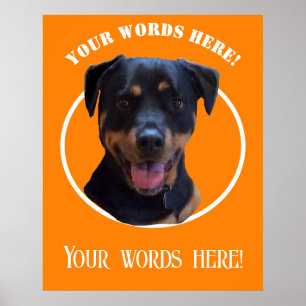Create Your Own Photo  and Text  Poster