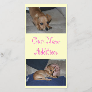 Create Your Own Photo Cards