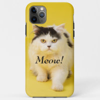 Create your own Photo Cat Meow cute yellow