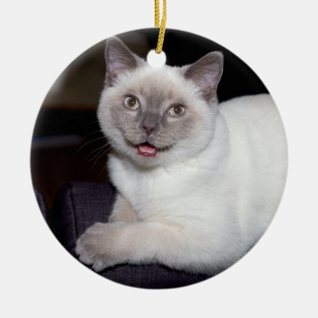 Create-Your-Own-Photo | Ceramic Ornament (Front)