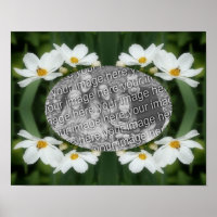 Create Your Own Photo Cosmos Flowers And Bee